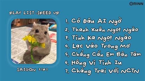 [playlist Speed Up] Tình Ka Ngọt Ngào Có Đâu Ai Ngờ Thanh Xuân Ngọt