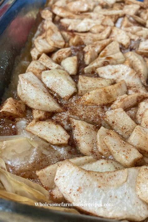 Easy Rustic Apple Tart With Phyllo Dough Recipe