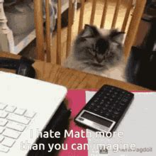 I Hate Math Math Sucks I Hate Math Math Sucks Math Discover