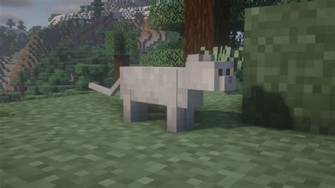 How to spawn cats in Minecraft