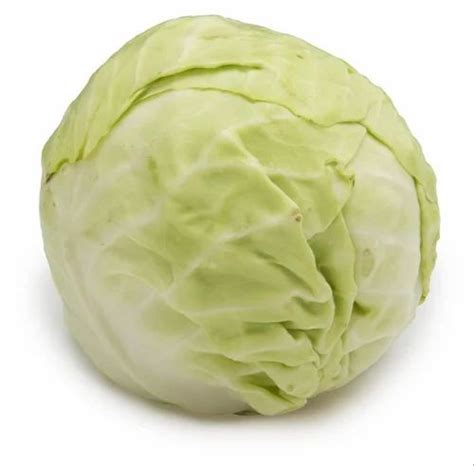 A Grade Fresh Green Organic Cabbage Loose Pesticide Free For Raw Products At Rs 20 Kg In Pune