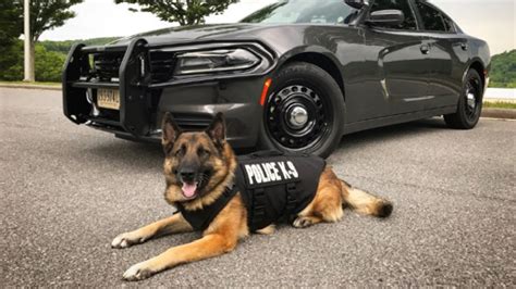 Radford Pd K9 Receives Body Armor