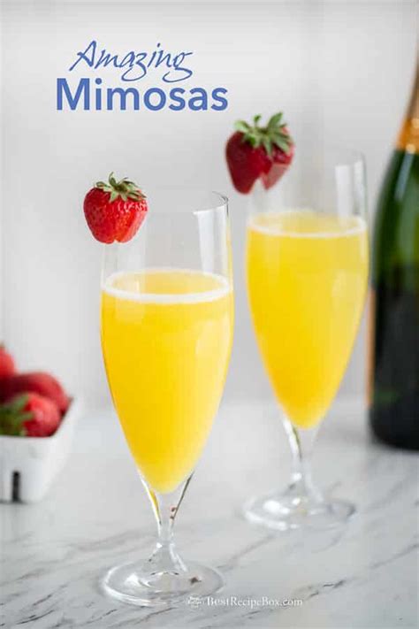 Mimosa Cocktail Recipe HOW TO MAKE THIS EASY DRINK | Best Recipe