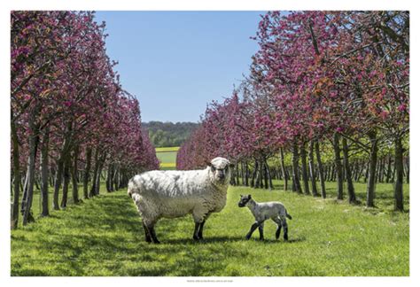 L Oise Nous R V Le Sa Beaut Agricole Chambres D Agriculture Hauts De