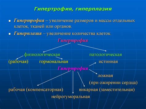 Регенерация. Процессы адаптации и компенсации - презентация онлайн