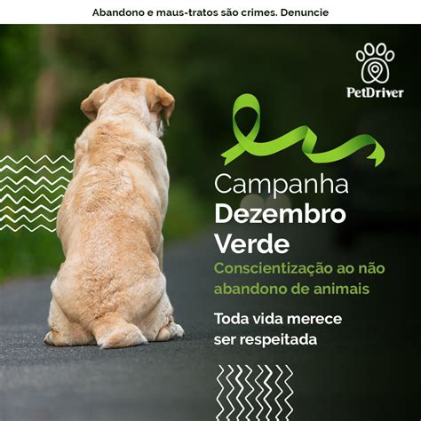 Campanha Dezembro Verde Toda Vida Importa N O Abandone Petdriver