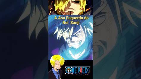 A Asa Esquerda Do Futuro Rei Dos Piratas Sanjivbhasin Onepiece