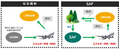 子どもたちの未来を守るエネルギー―ユーグレナ社のsaf「サステオ」 Sustainable Times