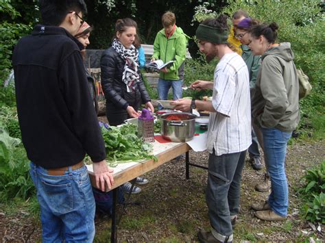 Plant Identification Through Foraging An Introduction Meanwood