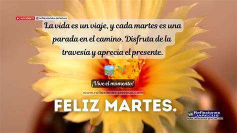 Feliz Martes: Un Momento para Apreciar el Viaje 🛤️🌱