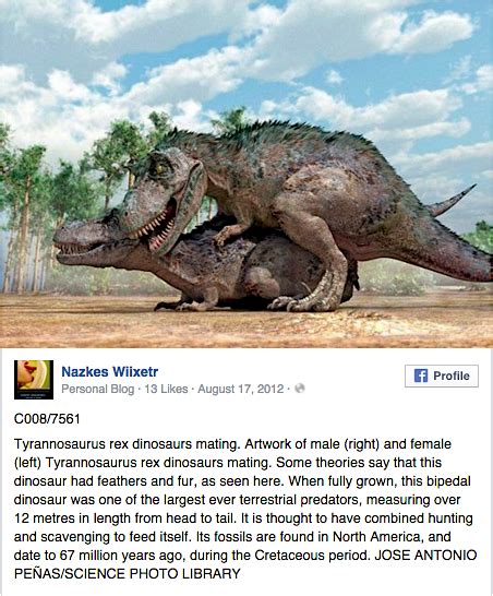 Dinosaurs Have Sex To Sell Okamoto Condoms The Stable