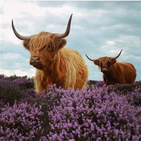 Nathan Stirk on Instagram: “Still one of my favourite picture. Taken in Derbyshire #model# ...