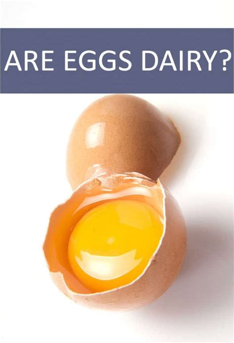 Are Eggs Dairy? - The Cookful