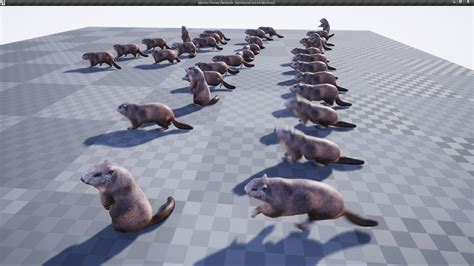 Marmot in Characters - UE Marketplace