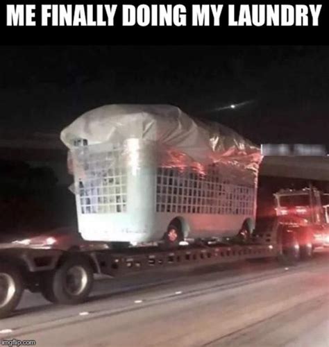 The Me Finally Doing My Laundry” Meme Realmanshow