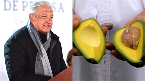 Por Resolver Exportación De Aguacate Amlo Capital México