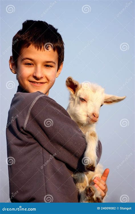 A Boy With Baby Goat Stock Photo Image Of Cute Little 24009082