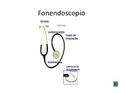 Partes Del Fonendoscopio