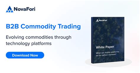 Evolving Commodities Through Technology What Can Digital Platforms Do