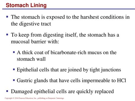 Digestive System Ppt Download