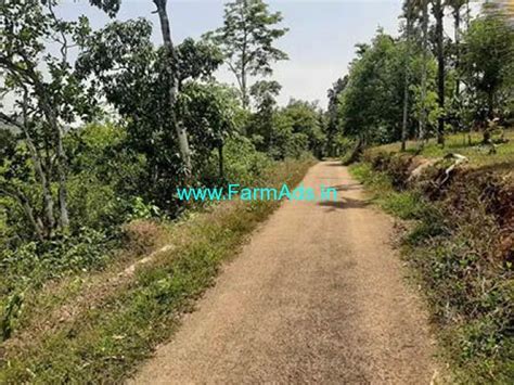 3 16 Acre Agriculture Land For Sale Near Mananthavady Mananthavady