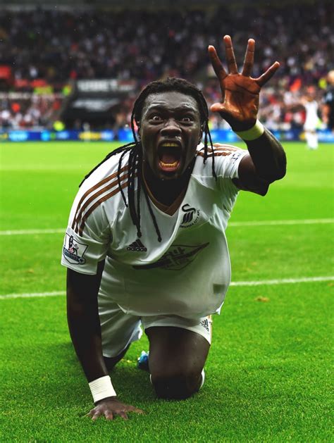 Picture Of Baf Timbi Gomis