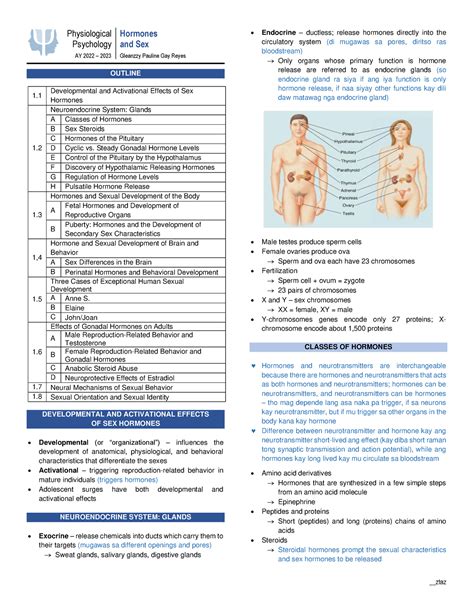 Hormones And Sex Psychology Lecture Notes Physiological Psychology Hormones And Sex Ay 2022