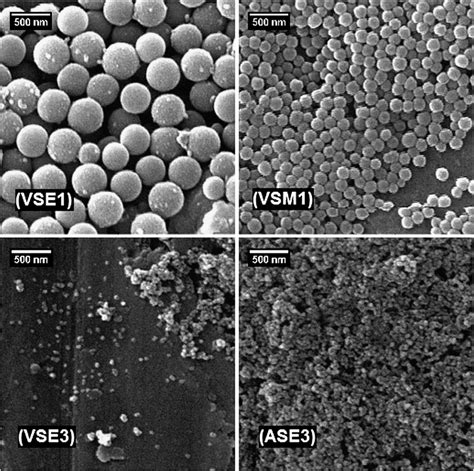 Sem Images Of Modified Silica Nanoparticles In Different Experimental