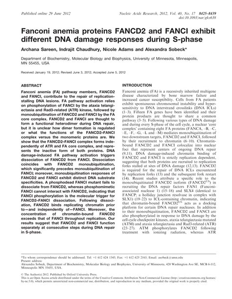 PDF Fanconi Anemia Proteins FANCD2 And FANCI Exhibit Different DNA