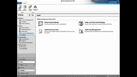 Demo Business Data Auditing In Microsoft Dynamics Crm 2011 Youtube
