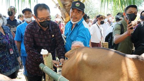 Program Reforma Agraria Di Masa Pemerintahan Gubernur Koster Dan Wagub