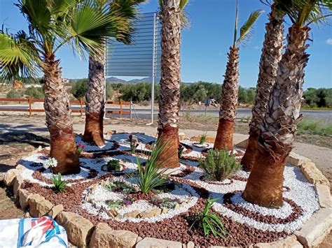 Els Alumnes Del Programa Et Formem Adeq En El Parc De La Paret Blanca