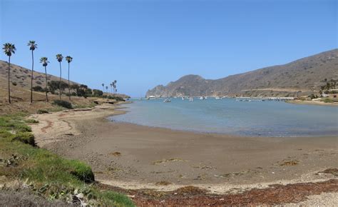 Catalina Harbor On Catalina Island Avalon Ca California Beaches