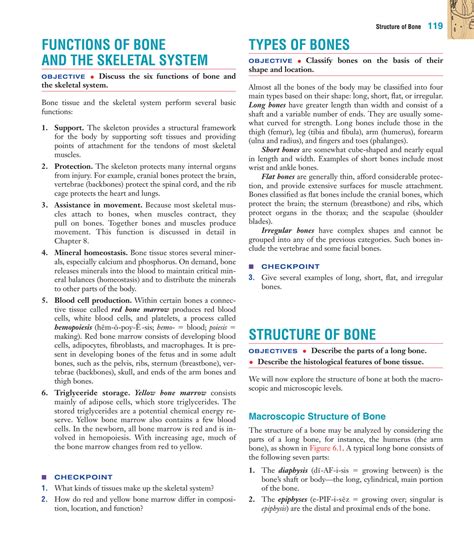 Solution The Skeletal System Bone Tissue Chapter 6 Studypool