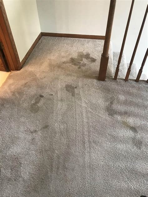 Carpet Cleaning Before After In Twin Falls Id Incl Jerome And