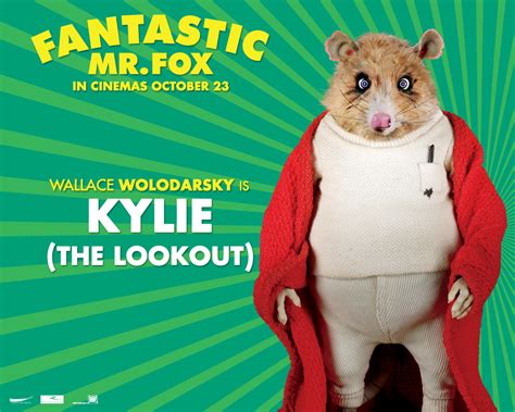 Fantastic Mr. Fox - Wallpaper - Kylie - Fantastic Mr. Fox Wallpaper ...