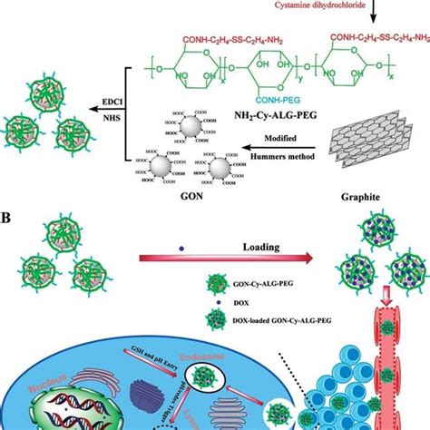 A Illustration Of Nanocarrier Preparation B Drug Release Triggered