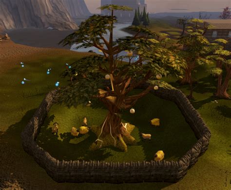 Golden Tree The Runescape Wiki