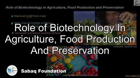 Role Of Biotechnology In Agriculture Food Production And Preservation