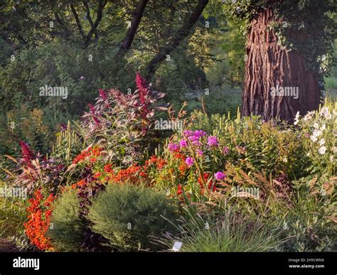 Flowerbed In Botanical Garden Germany Hamburg Flottbek Stock Photo