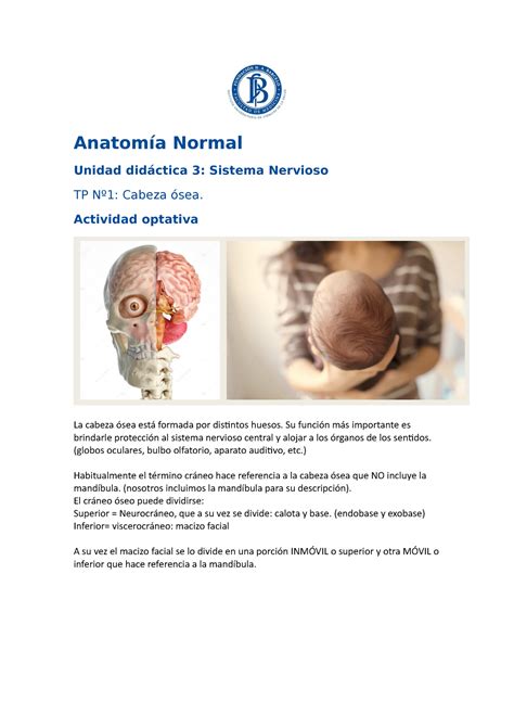 TPNÂº1N aula Tp neuro Anatomía Normal Unidad didáctica 3 Sistema