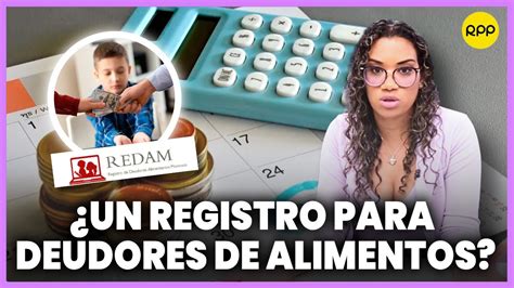 Consulta Deudores De Alimentos Redam Image To U