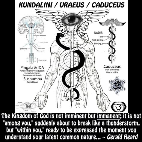 Kundalini Uraeus Caduceus Spirit Science Sacred Geometry Symbols