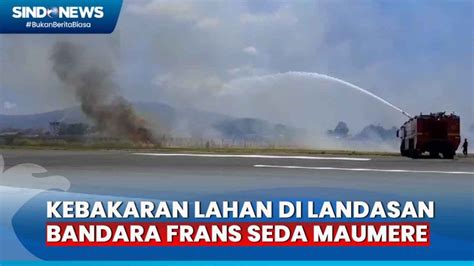 Kebakaran Lahan Di Area Bandara Frans Seda Maumere Api Merambat Cepat