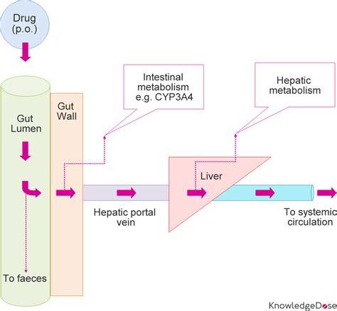 Drugs Undergoing Extensive First-Pass Metabolism | KnowledgeDose