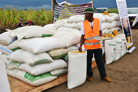 Congo développement l agriculture un pilier fondamental de la