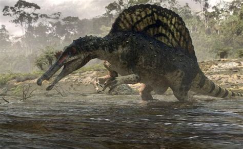 Spinosaurus Pictures & Facts - The Dinosaur Database