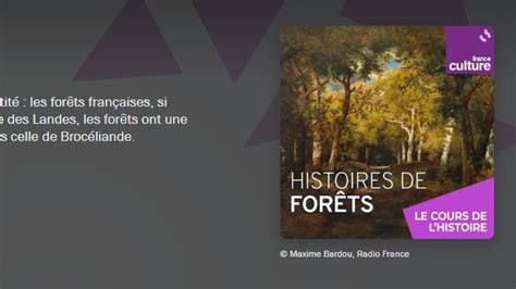 jc fichet on Twitter RT Geoconfluences La forêt française