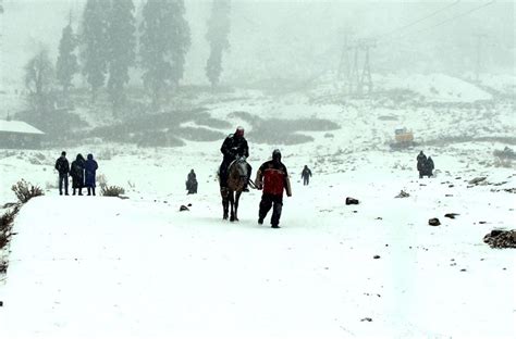 Shimla Manali Dharamsala Receive Fresh Snowfall As Cold Wave