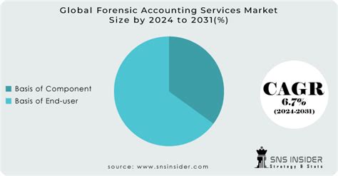 Forensic Accounting Services Market Size Share 2024 2031